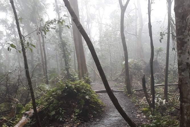 Volcano Crater Hiking Tour in St Kitts - Tips for Hikers