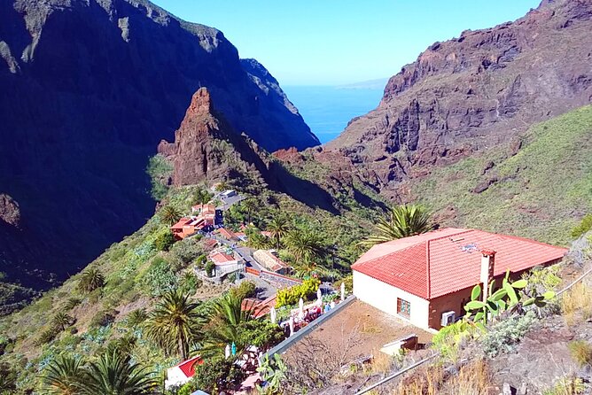 Volcano Teide - Masca Ravine. Guided Tour From Puerto De La Cruz - Tenerife - Customer Feedback