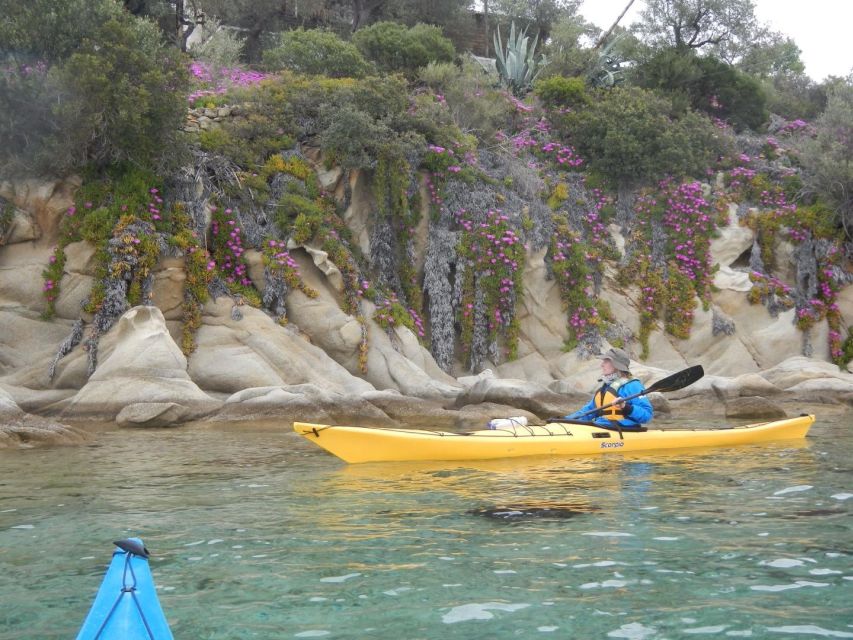 Vourvourou: Sea Kayaking Diaporos Island Private Day Tour - Participant Requirements