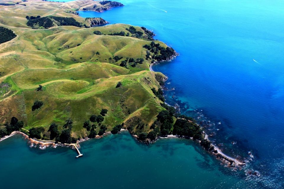 Waiheke Island: 30-Minute Scenic Flight - Price and Duration