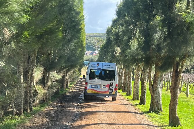 Waiheke Island Winery Tour - Scenic Views and Photo Opportunities