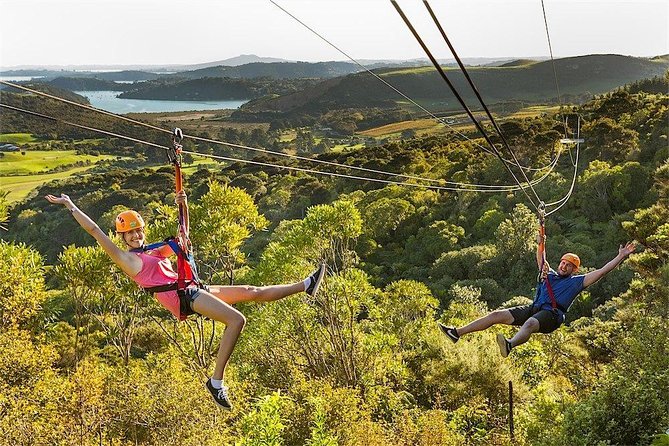 Waiheke Island: Zipline And Forest Walk - Pricing and Booking Information