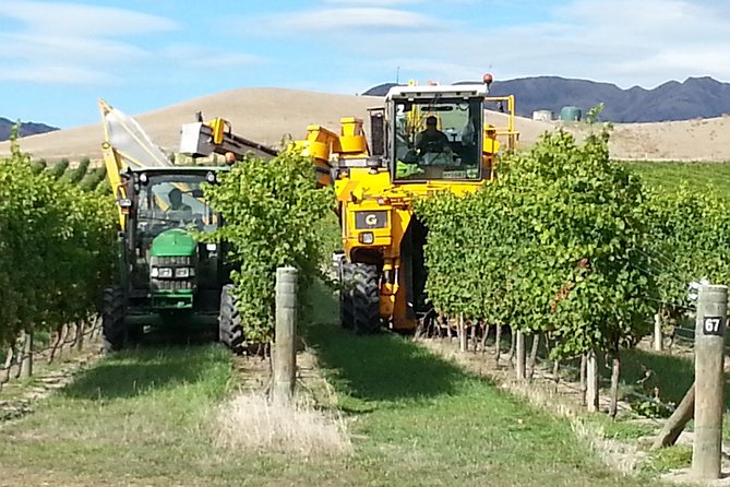 Waipara Wine Trail Afternoon Tour From Christchurch - Customer Experiences