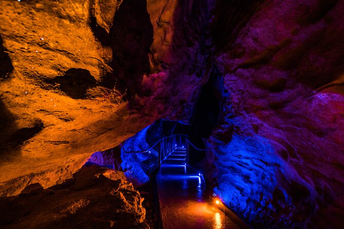 Waitomo Glowworm & Ruakuri Twin Cave Experience - Small Group Tour From Auckland - Glowworm Cave Exploration