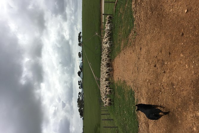 Waitpinga Farm Quad Bike Adventure Tour - Booking and Contact Details