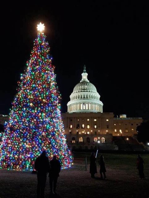 Washington DC: Moon Light Tour of National Mall & Memorials - Historical Insights