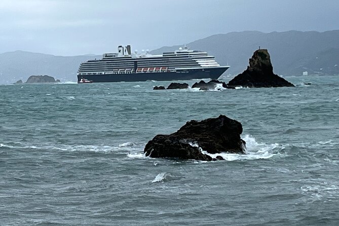 Wellington Half Day Private Tour in Electric Tesla SUV - Scenic Attractions