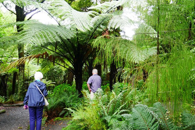 Wellington Region Full Day Private Tour: Get Out of the City - Accessibility Features