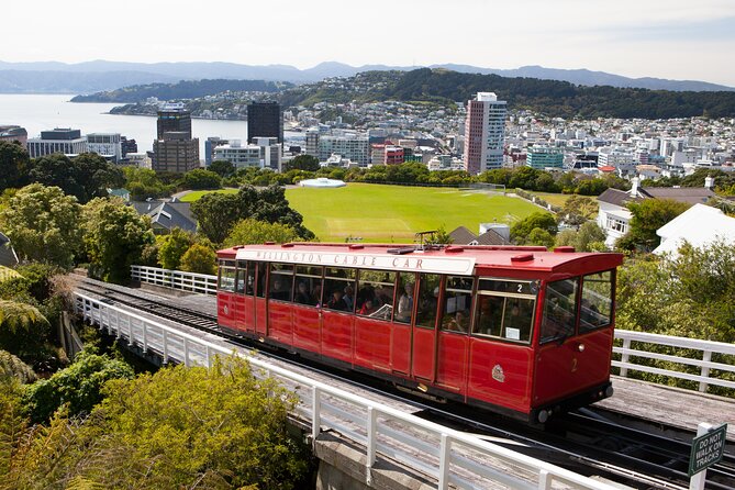 Wellington Shore Excursion City Sightseeing Tour - Optional Activities