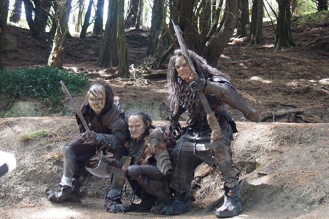 Wellingtons Full Day Lord of the Rings Tour Including Lunch - Accessibility and Requirements