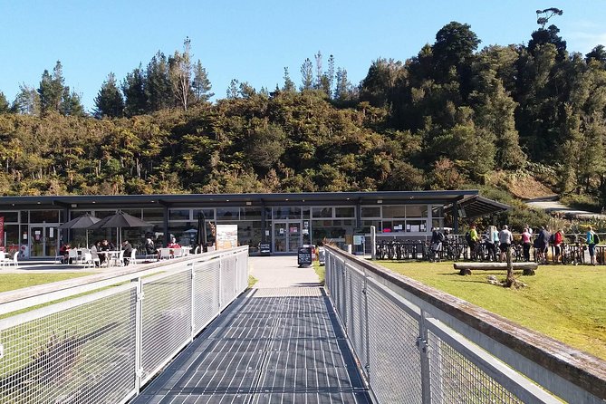 West Coast Tree Top Walk Experience - Visitor Reviews and Feedback