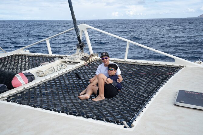 West Oahu Hawaiian Green Sea Turtle, Dolphin Snorkel Sail W Lunch - Responsible Dolphin Viewing