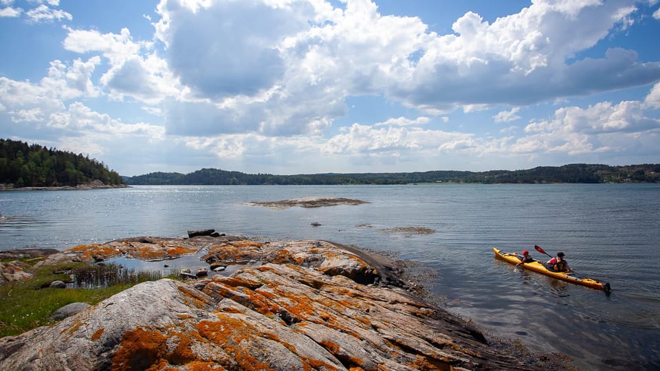 West Sweden: Paddle With Seals - Kayaking in Havstensfjord