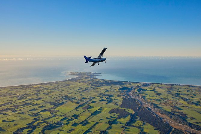 Whale Watching Flight in Kaikoura