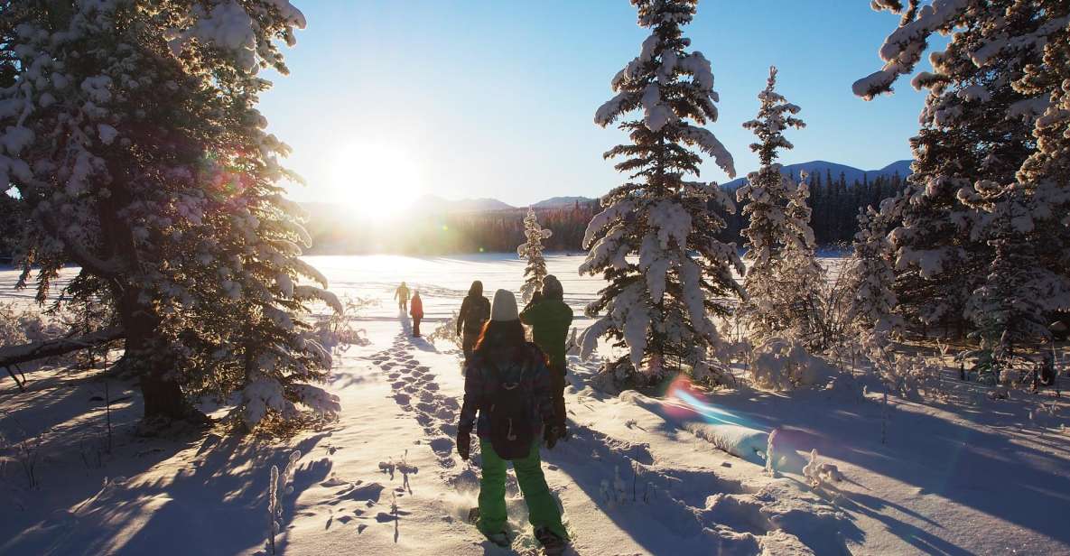 Whitehorse: Half-Day Snowshoeing Tour - Dress Code and Recommendations