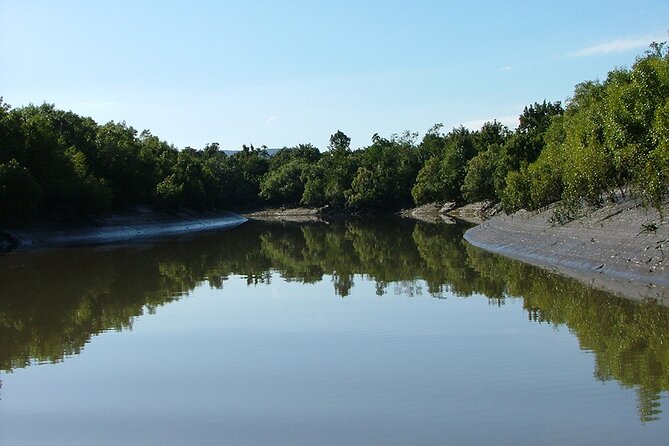 Whitsunday Crocodile Safari From Airlie Beach Including Lunch - Reviews and Feedback