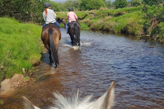 Wicklow Mountains Horse Trekking - What to Expect