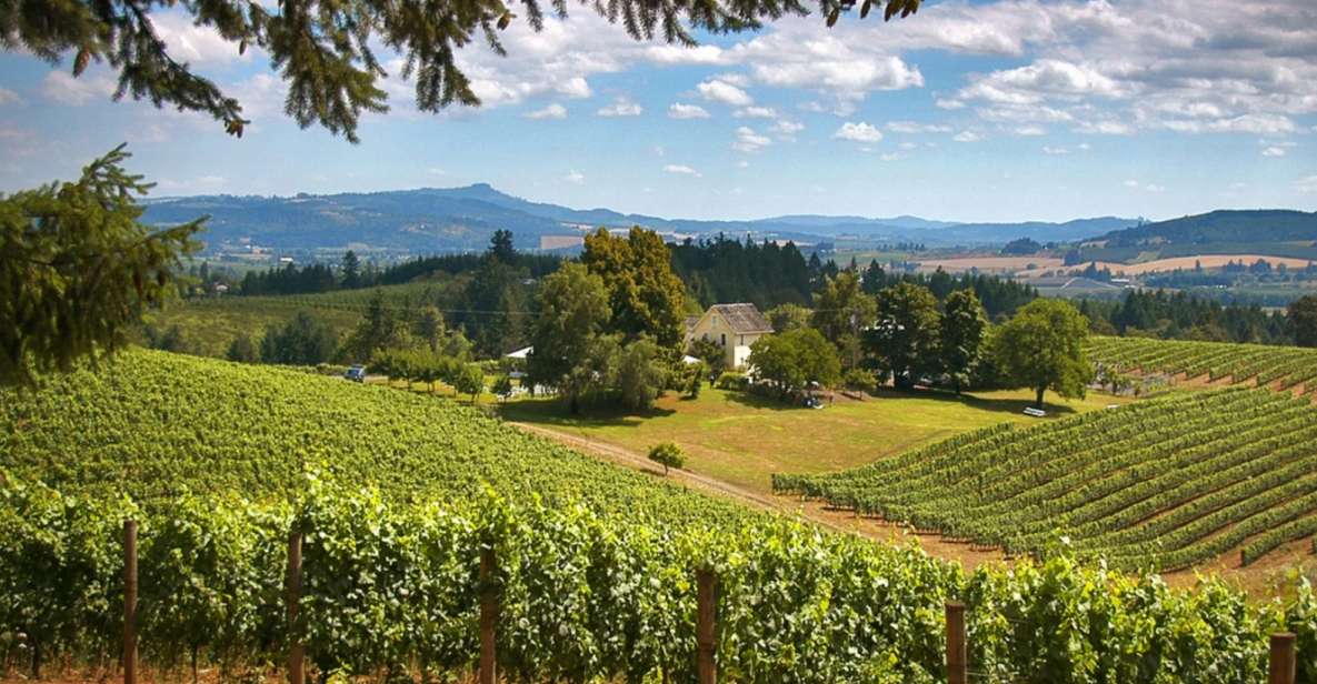 Willamette Valley Wine Tour: a Journey for the Senses - Enjoying the Included Lunch