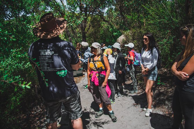 Wilsons Promontory Day Trip From Melbourne - Walking Trails and Activities