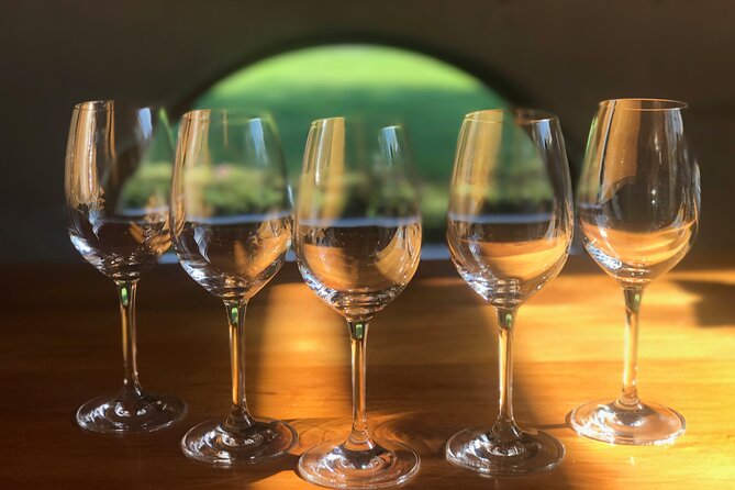 Wine and Gourmet Picnic Experience of Marlborough - Booking Details