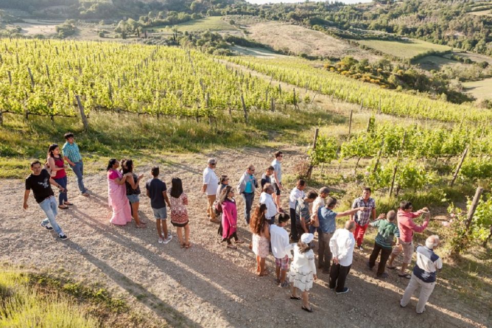 Wine Lovers Experience in Montepulciano: Half Day - Transfer Service Included