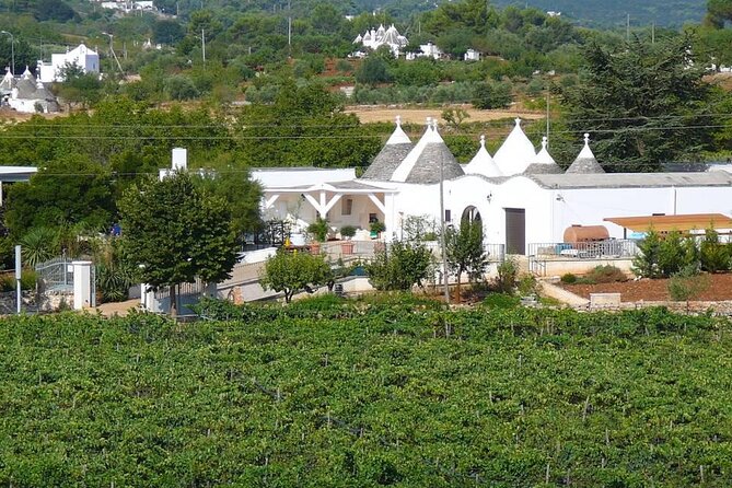 Wine Ostuni, Tour of an Apulian Winery With Traditional Lunch or Aperitivo - Organic Wine Production