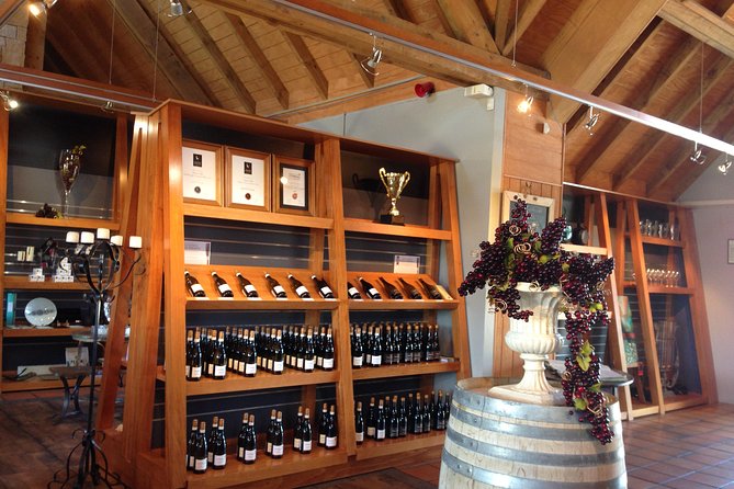 Wine Trail and Christchurch City Day Tour - Wine Valley Experience