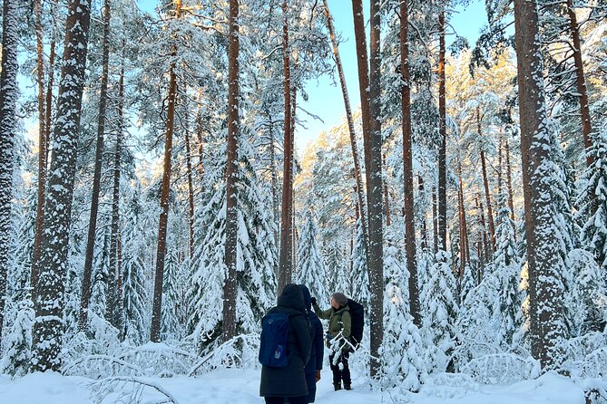 Winter Wonderland Hike in a National Park - Participant Guidelines
