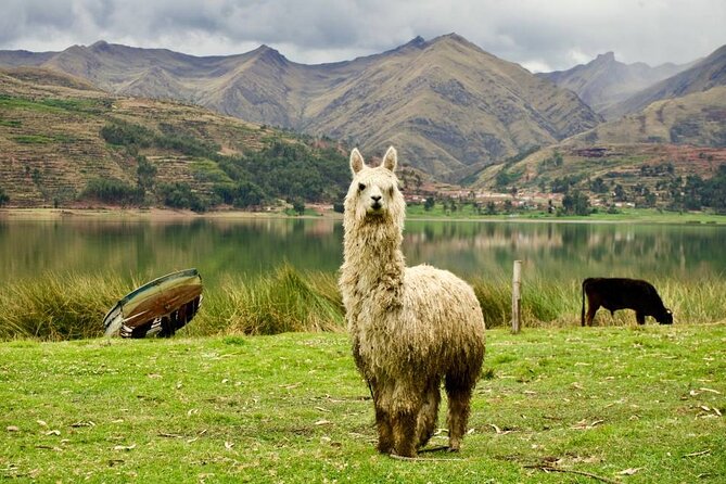 Wonderful Cusco 5-Day Tour With Entrance to Machupicchu - Tips for Your Tour