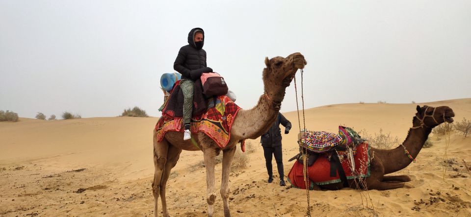 Wonderlust Camel Safari With Rumi Caravan of Thar Desert - Safety and Participant Restrictions