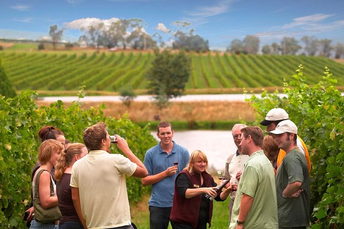Yarra Valley Wine and Winery Tour From Melbourne - Traveler Ratings