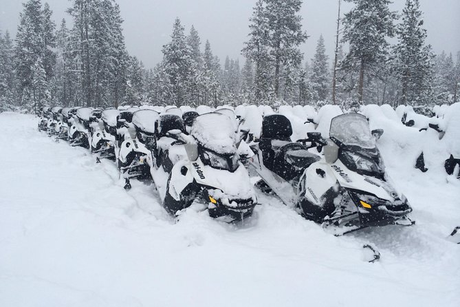 Yellowstone Old Faithful Full-Day Snowmobile Tour From Jackson Hole - Booking Information and Tips