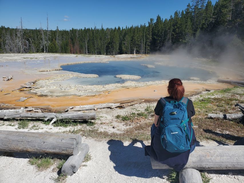 Yellowstone: Upper Geyser Basin Hike With Lunch - Picnic Lunch Details