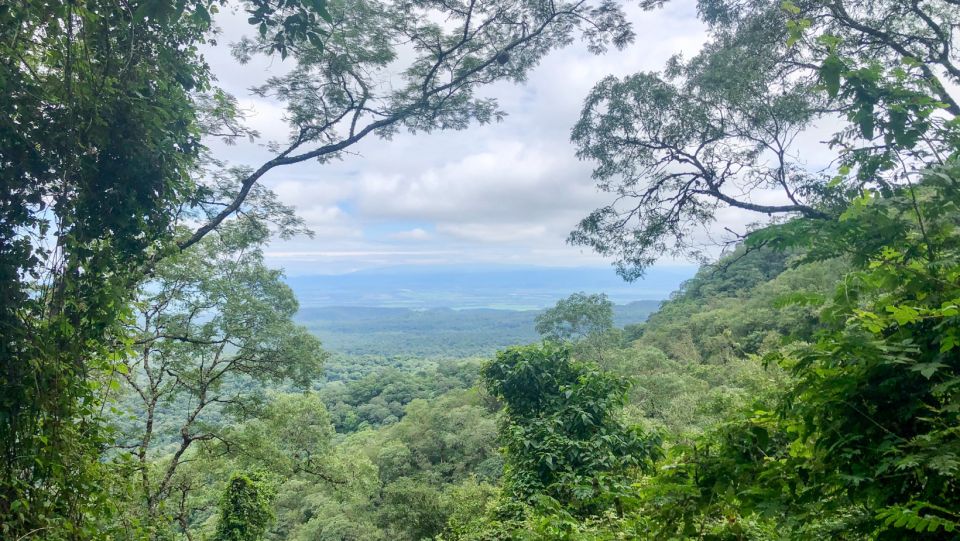 Yungas: Full Day With Gauchos - Wildlife Observation