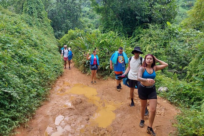 Yunque Rainforest Tour in Puerto Rico - Expert Guides and Personalized Experience