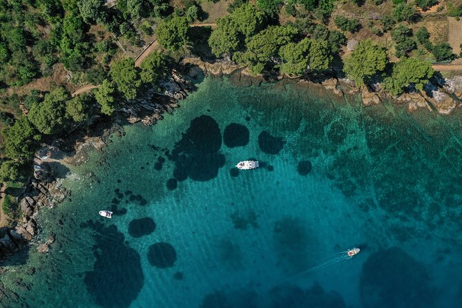 Zadar Archipelago Half-day Island-Hopping Private Boat Tour - Customer Reviews and Feedback