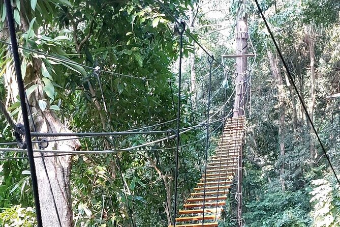 Zipline Ride on Koh Samui - Age and Accessibility Restrictions