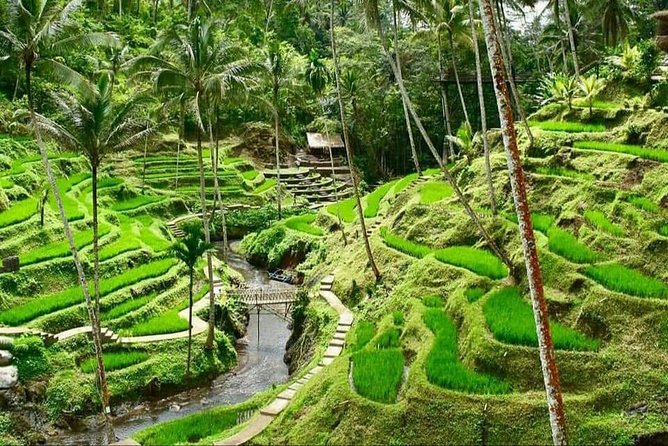 6 Days Best Of Bali And Nusa Penida All Inclusive Private Tour - Tour Highlights