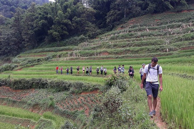 1-Day Authentik Trek & Panorama Valley Views - What to Expect on the Trek
