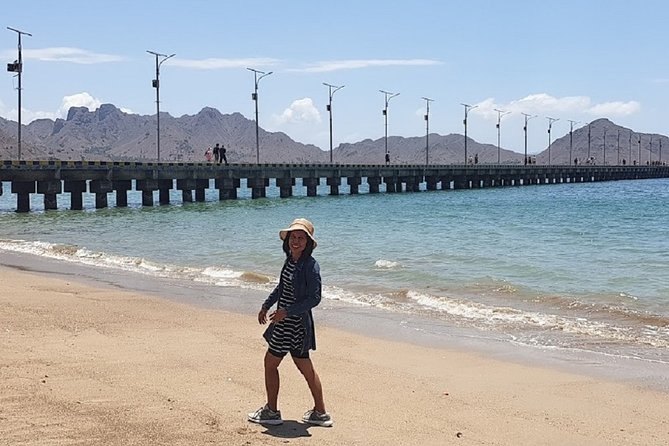 1- Day Komodo Island Tour Hopping Around by Speed Boat - Additional Information