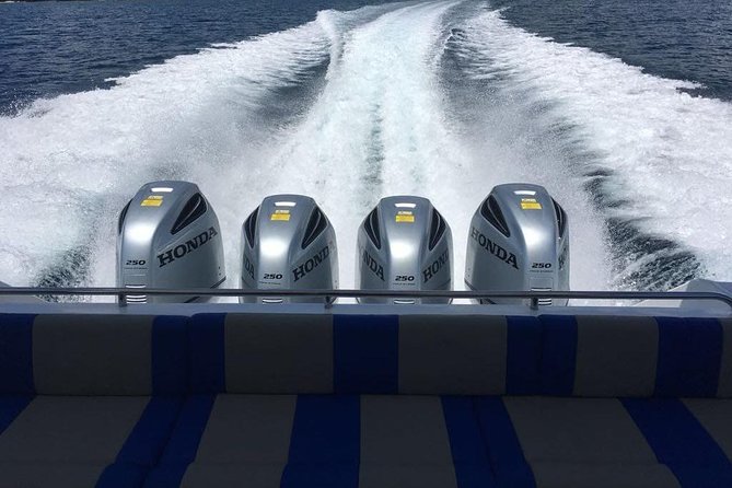1 Day Komodo Trip By Shared Luxury Fast Boat - Cancellation Policy