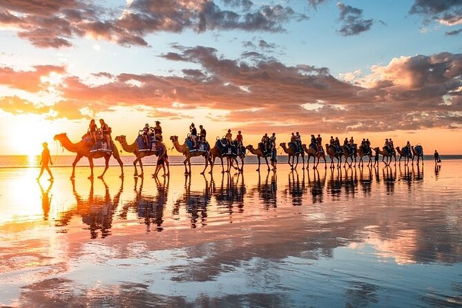 1 Hour Broome Sunset Camel Tour - What to Expect During the Ride