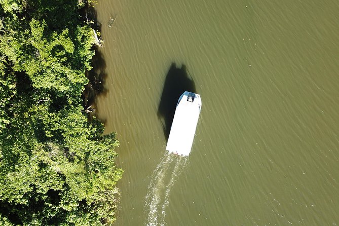 1-Hour Daintree River Wildlife Cruise - Safety and Accessibility Information