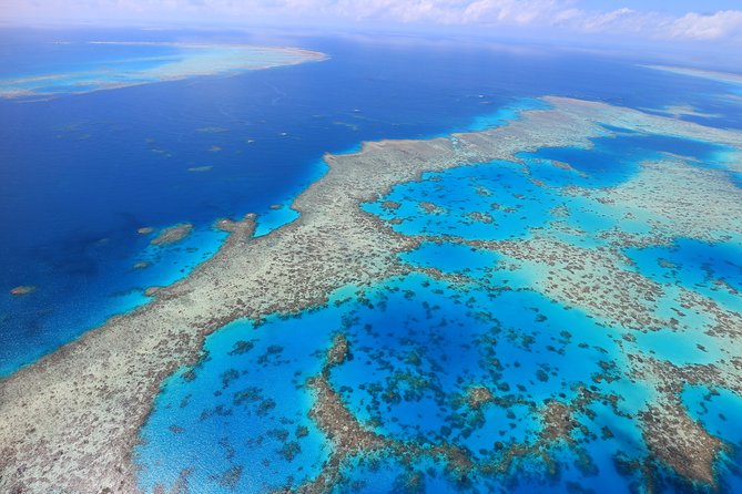 1-Hour Whitsunday Islands and Heart Reef Scenic Flight - Customer Feedback and Reviews