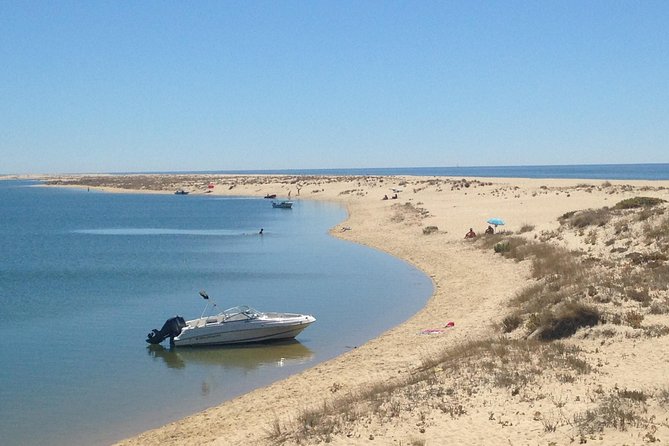 1 or 2 Hour Speed Boat Tour - Ria Formosa - Tour Highlights