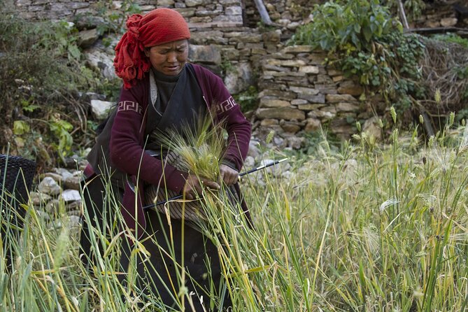 10 Days Manaslu Circuit Trek in Larke La Pass - Additional Inclusions