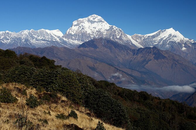 12-DAY Nepal Adventure Trek With Jungle Safari - Fitness and Health Requirements