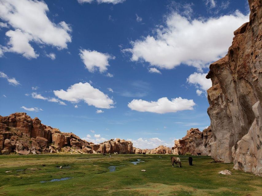 2-Day Private Tour: Uyuni Salt Flats to San Pedro De Atacama - Accessibility Features