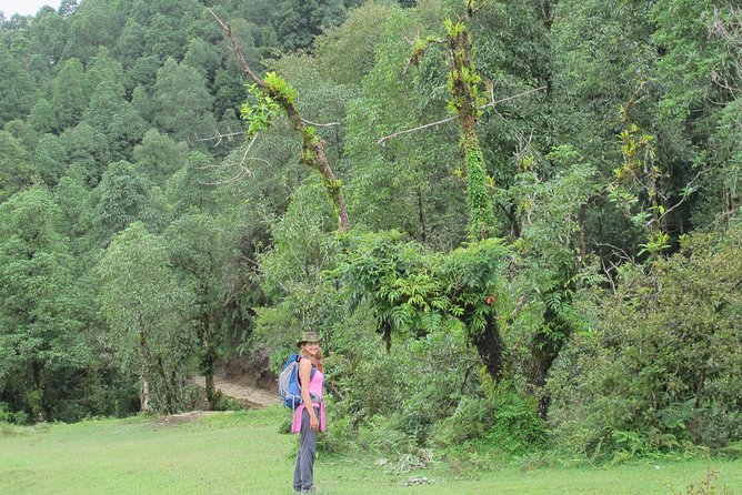 2-Day Private Trekking Tour to Australian Camp & Dhampus - Safety and Insurance