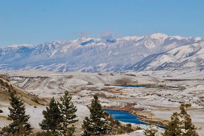 2-Day Yellowstone National Park Upper and Lower Loop Exploration - Traveler Reviews and Feedback